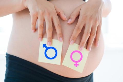 Hamilelikte Cinsiyete Göre Mide Bulantısı